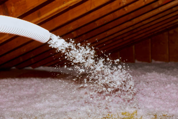 Best Specialized Insulation Services in Leawood, KS