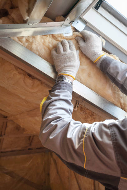 Best Geographic-Specific Insulation Services in Leawood, KS